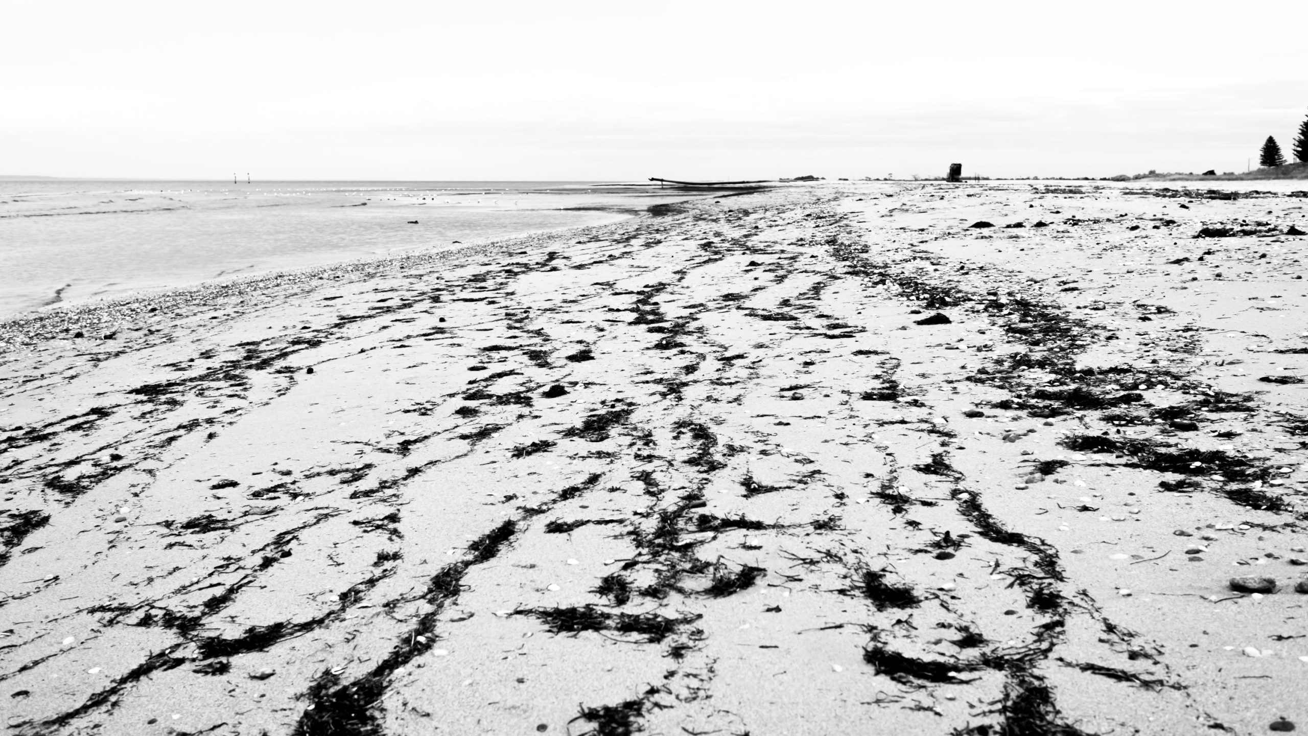 Dredging on the Beach