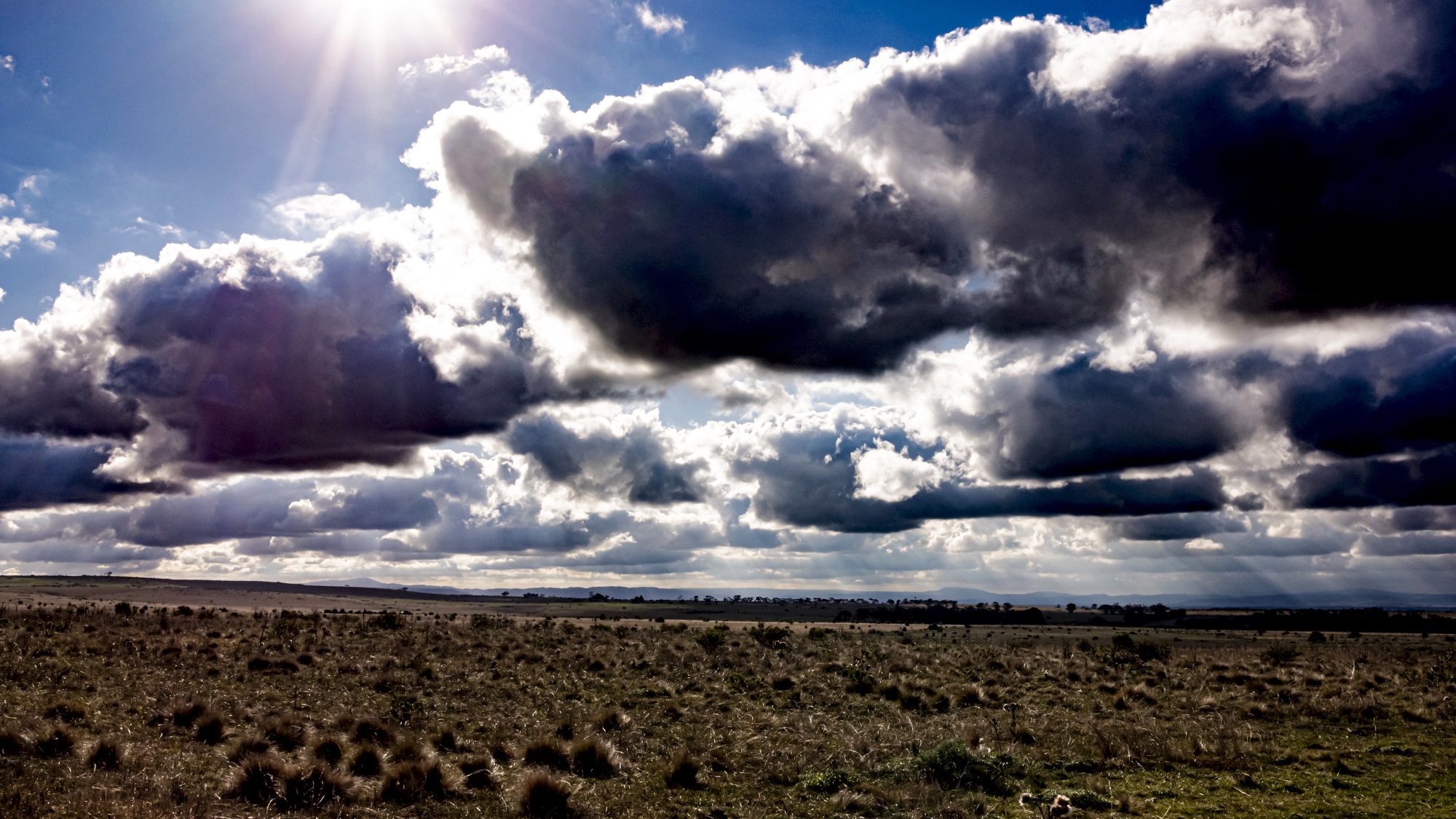 A drive to Baccus Marsh