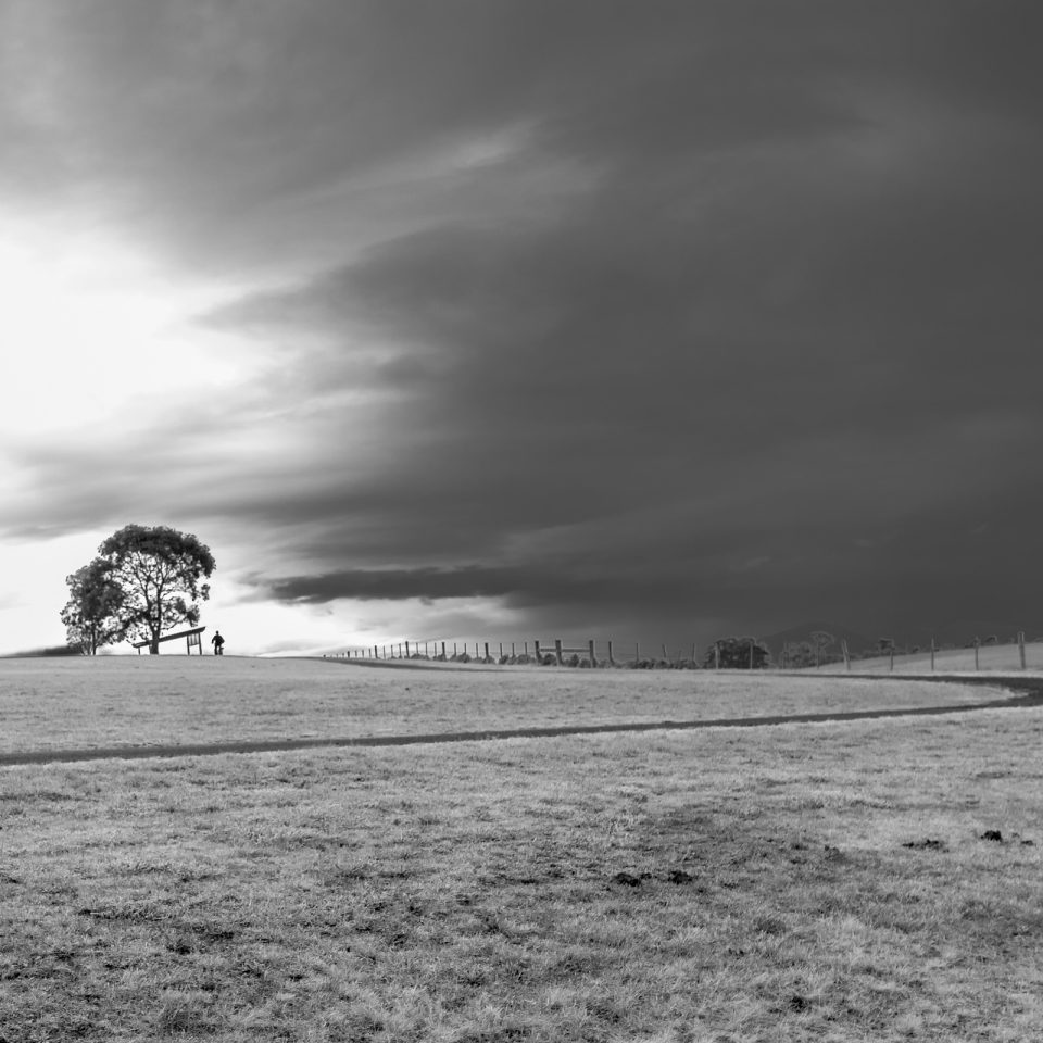 Dark skys, open field, grasslands, single tree and cyclist on horizon