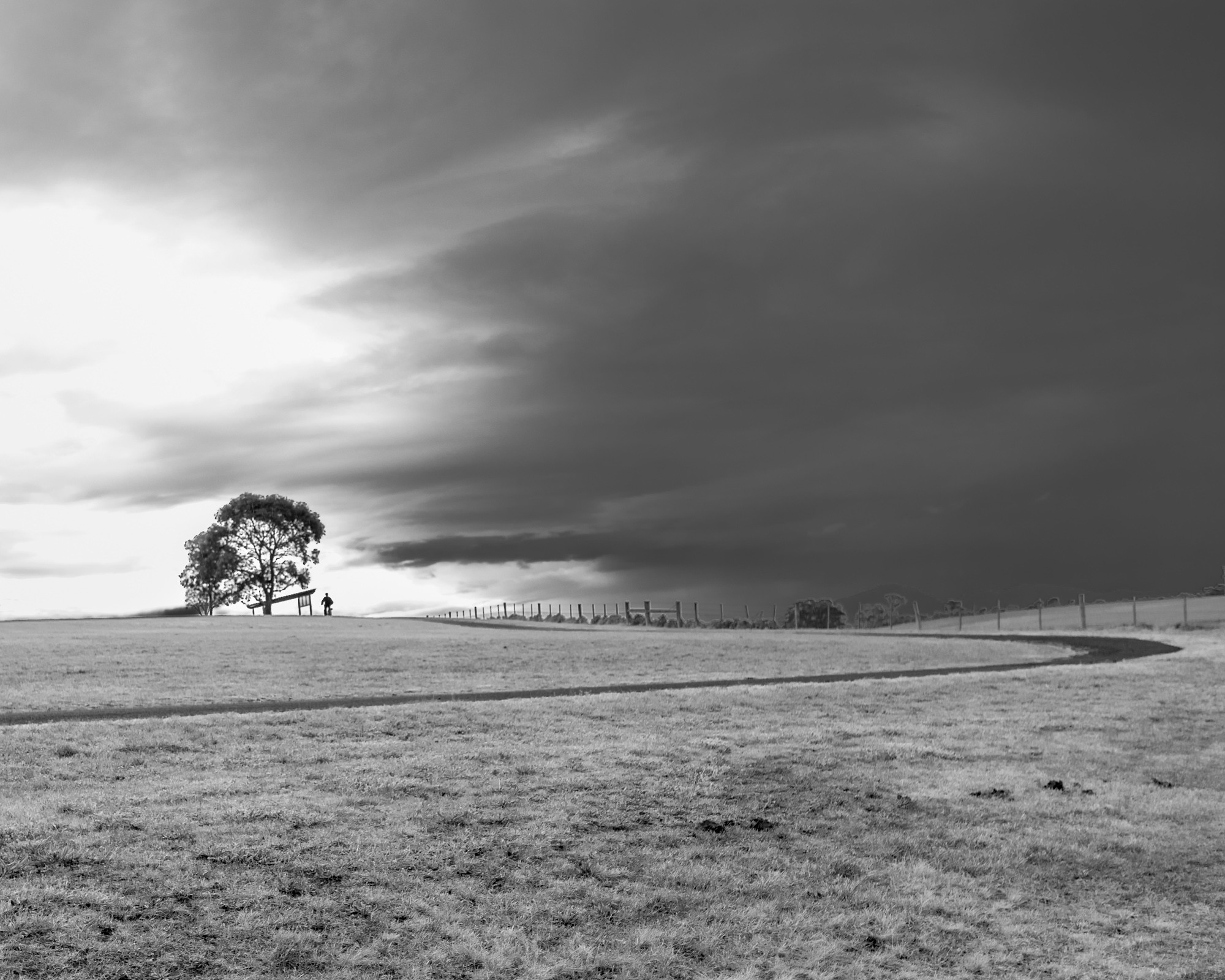 Dark skys, open field, grasslands, single tree and cyclist on horizon